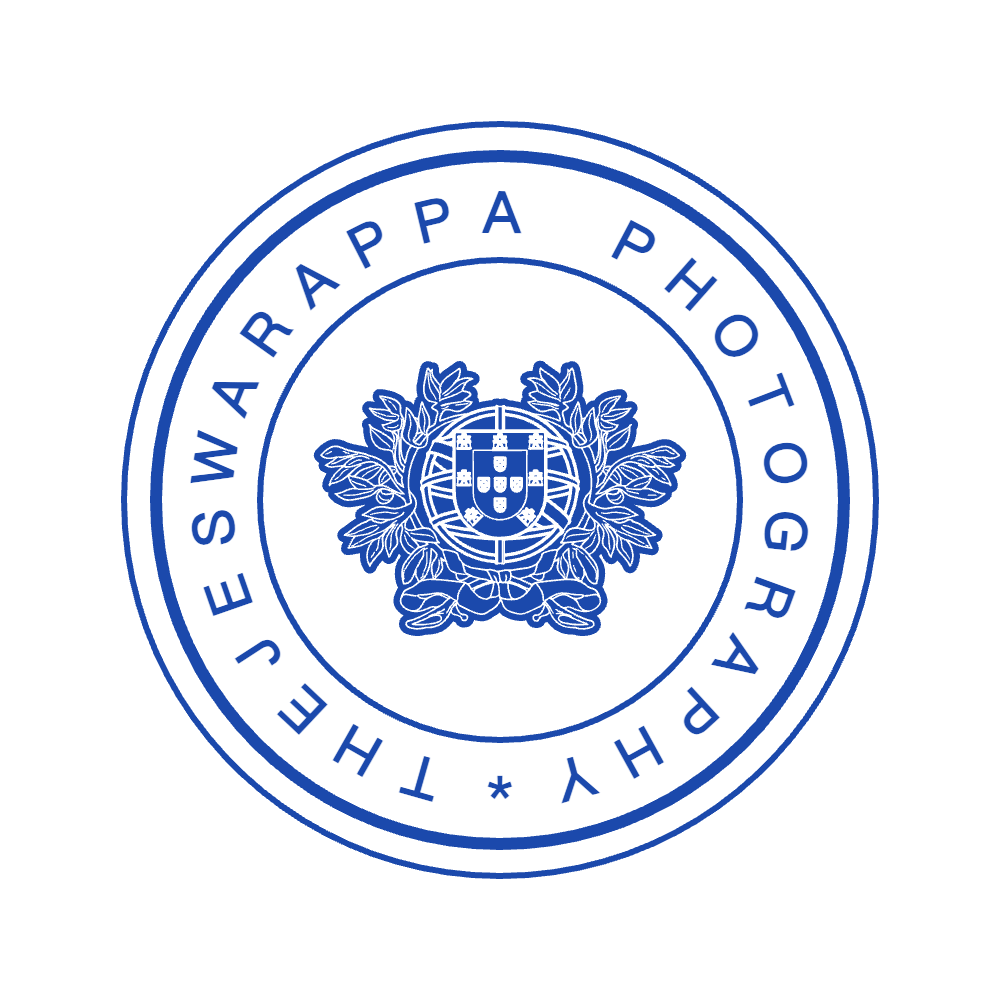 Government Seal Template 2 for the online stamp maker